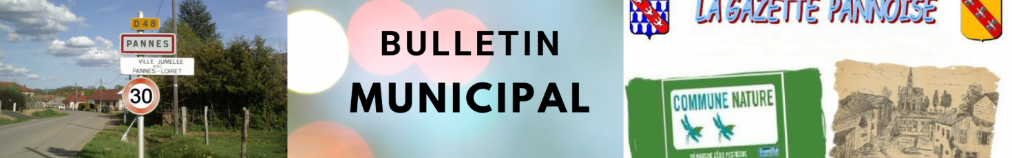 Bulletin municipal